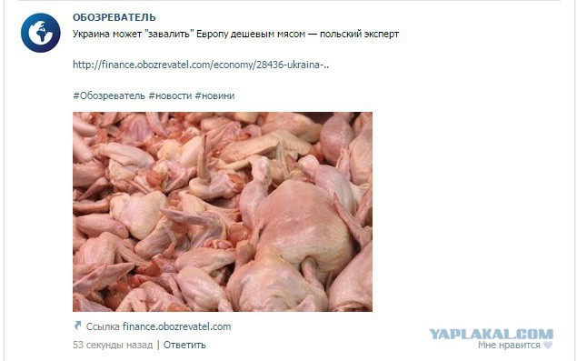 Украина завалит европу дешевым мясом