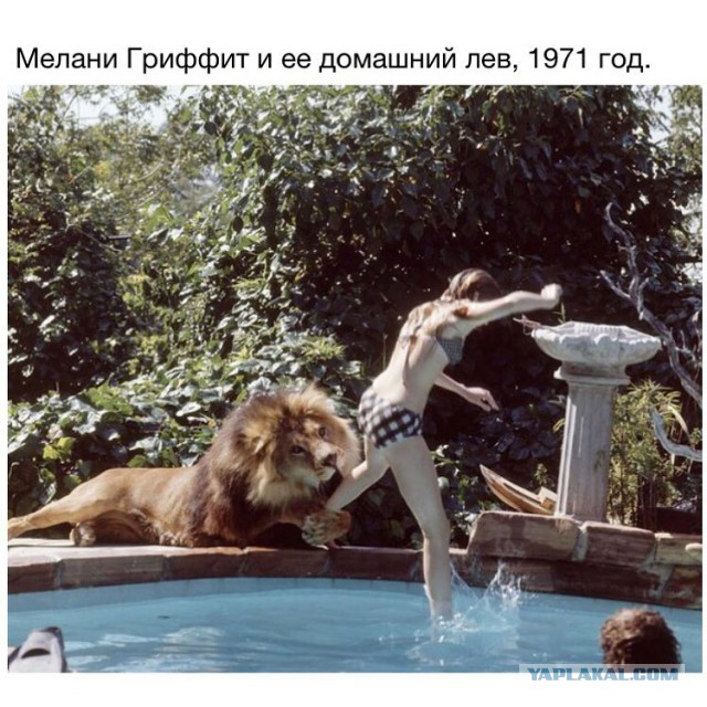 Это было давно...