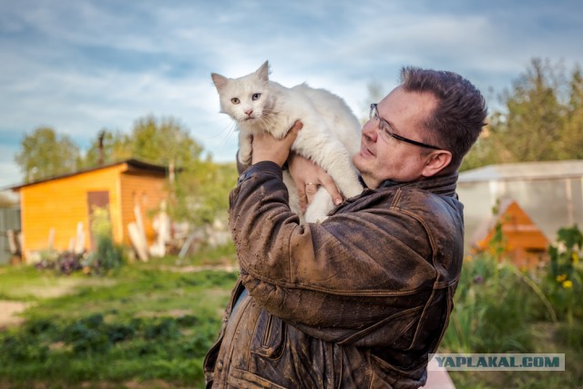 Котовторник  27.10.2015
