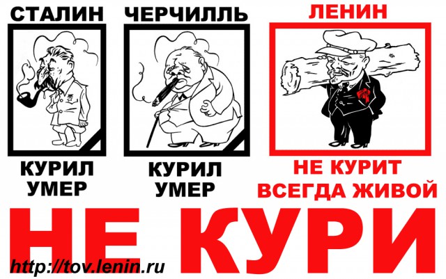 Здоровый образ жизни