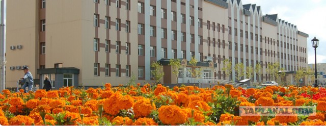 Ад российских больниц