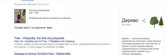 Приятные дамы из социальных сетей