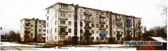 «Рассуждения о «працивилизации» — это невежество»: зачем египтяне строили пирамиды
