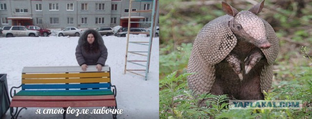 Приколы в стиле "регресс"