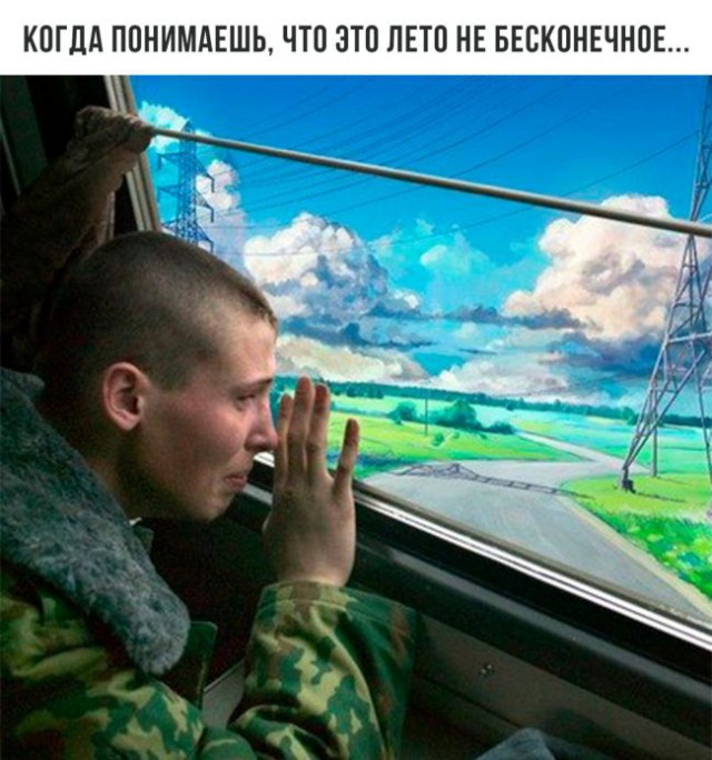 Весёлые картинки