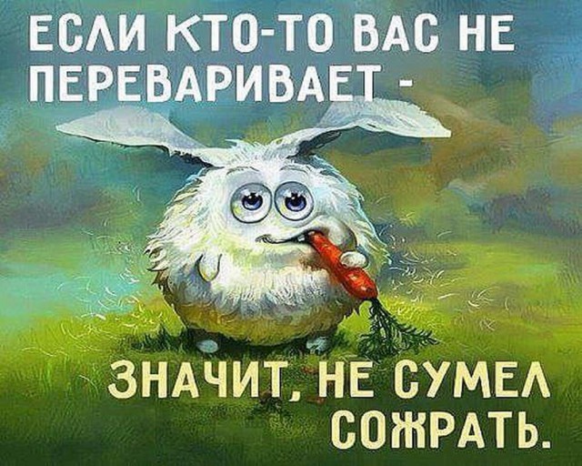 150 картинки для поднятия настроения!
