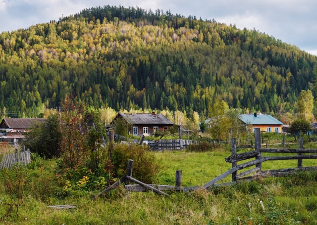 Полуторник. Жизнь сибирской деревни