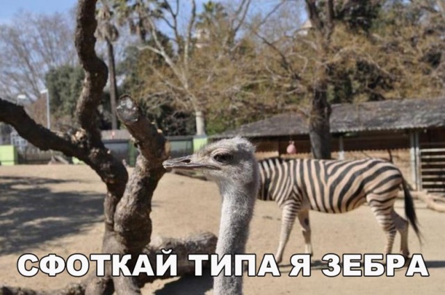 Нестандартный юмор