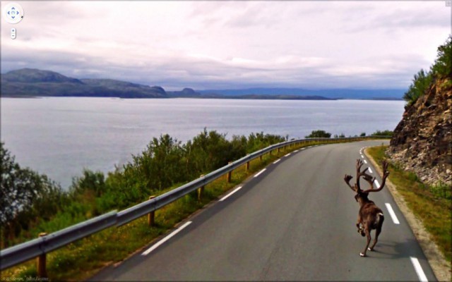 Самые странные и непонятные вещи, попавшие в камеру Google Maps