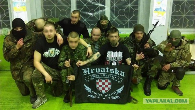 Хорват Вида извинился