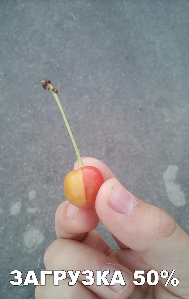 Прикольные картинки обо всем