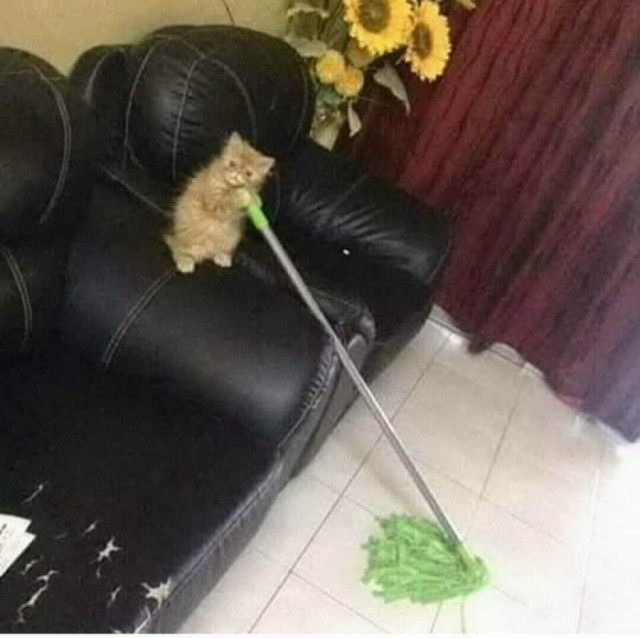 Немного милоты