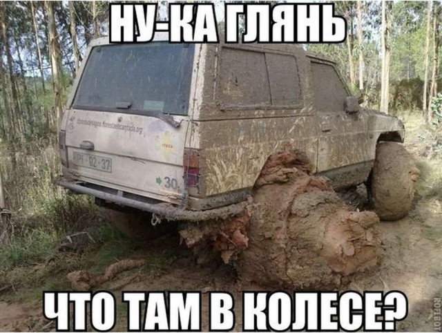 Эти причудливые законы