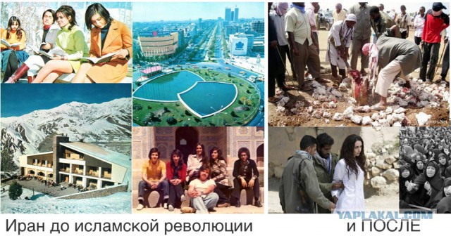 Теперь они свободны!