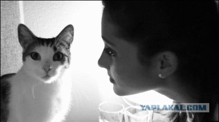 Я видел что ты делаешь своим ртом