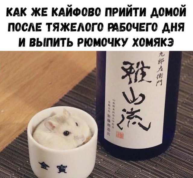 Нестандартный юмор