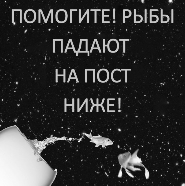 Субботняя адовая вакханалия подъехала