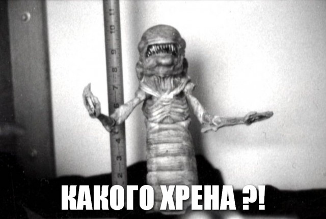 Шумахер снова в седле (3 фото и текст)