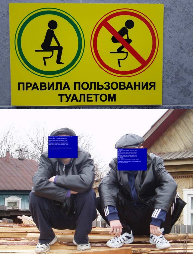 Скотсети и прочие интернеты 23.08.19