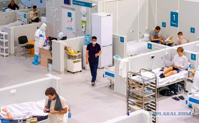 Пандемия. Коронавирус. Россия и мир. Последняя информация. Часть 18