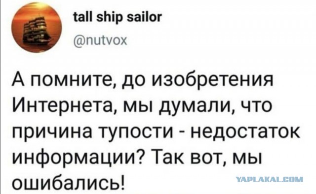 Немного картинок для настроения 05.11.20
