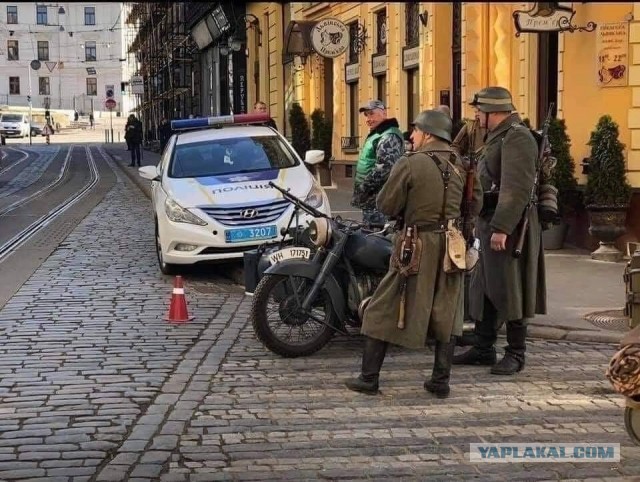 Глупость и невежество: в Ижевске коз нарядили в нацистскую форму
