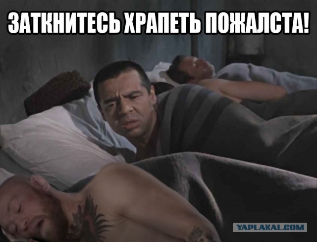 "Конор уснул". Нокаутированный Макгрегор стал мемом
