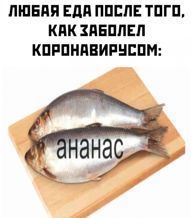 Весёлый полтишок 14.02