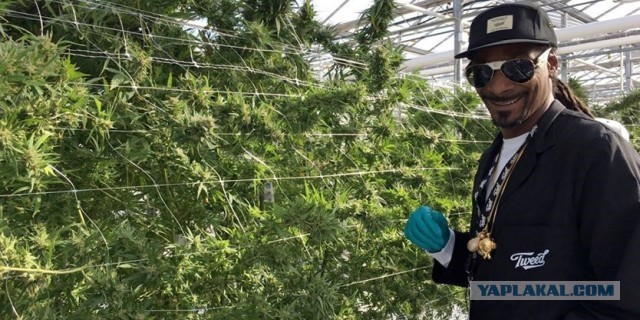 Миннеаполис выплатит рекордные 27 миллионов долларов семье погибшего Джорджа Флойда