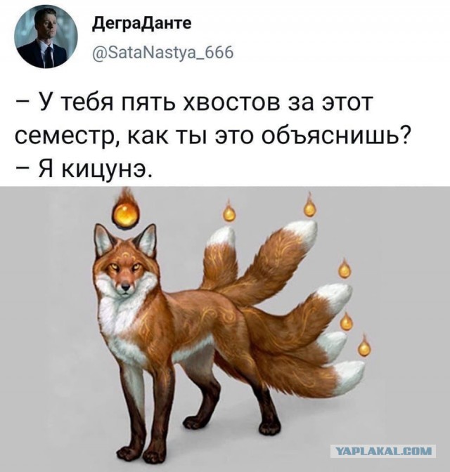 Свинегрет: картинки, надписи и прочее на 06,07.202 или №31