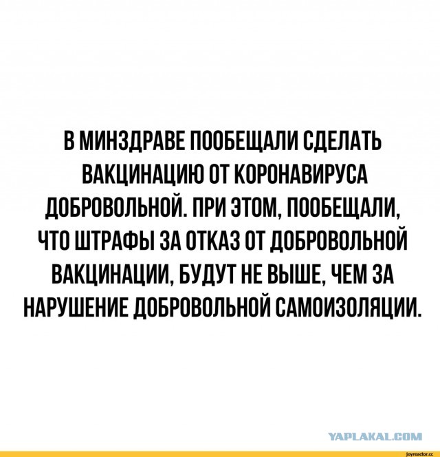 Власти кубани решили убить туристический бизнес