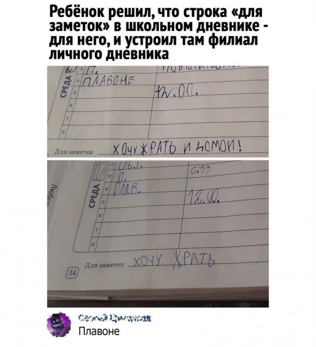 Весёлый полтишок 8.08