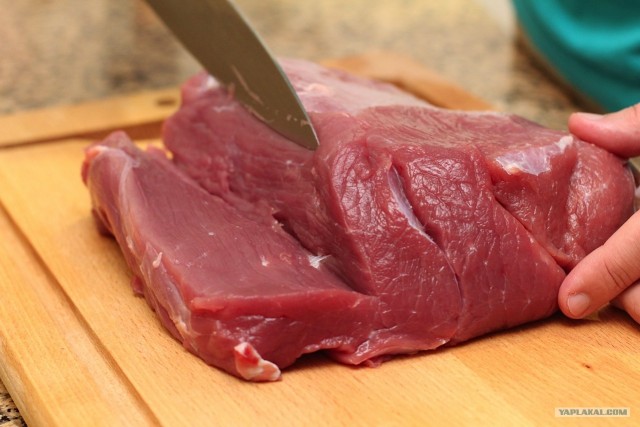 International одной книги., В память о Дженибеке.