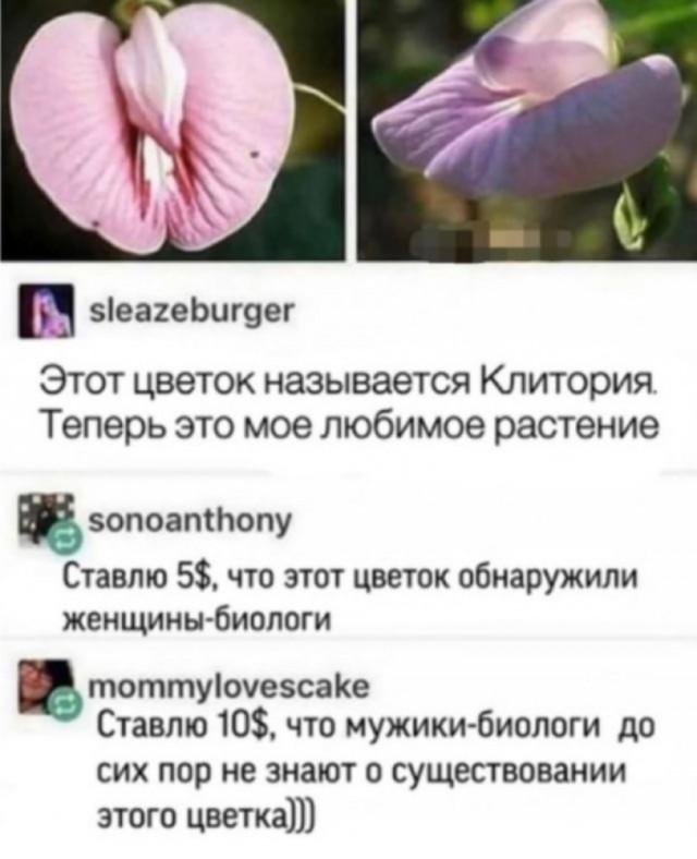 Картинки на выходные 17.10.21