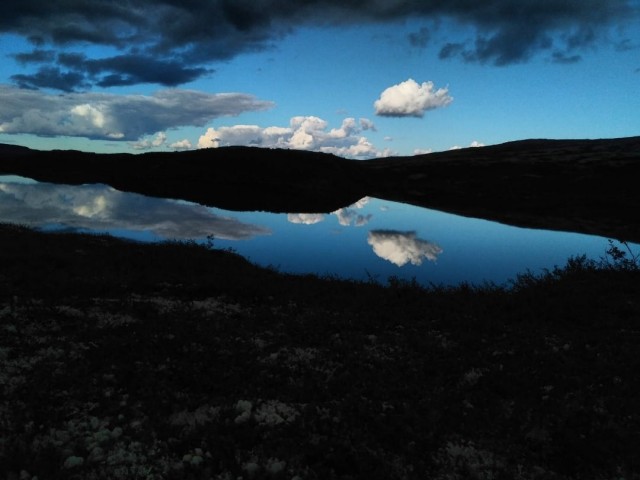 Моя мобильная фотография