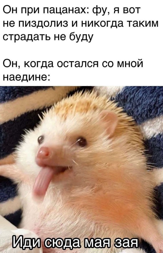 Пятница. И немного слегка пошлых картинок с надписями и без 16+ (12.11)