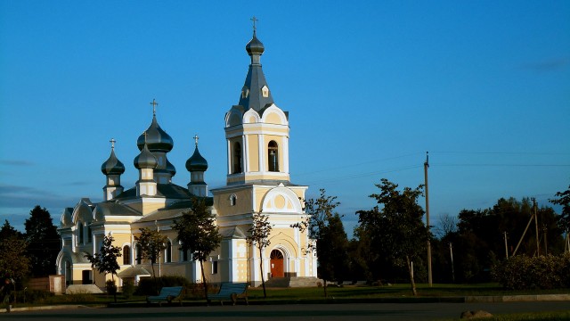 Лес в окрестностях Малуксы и Лезье-Сологубовка