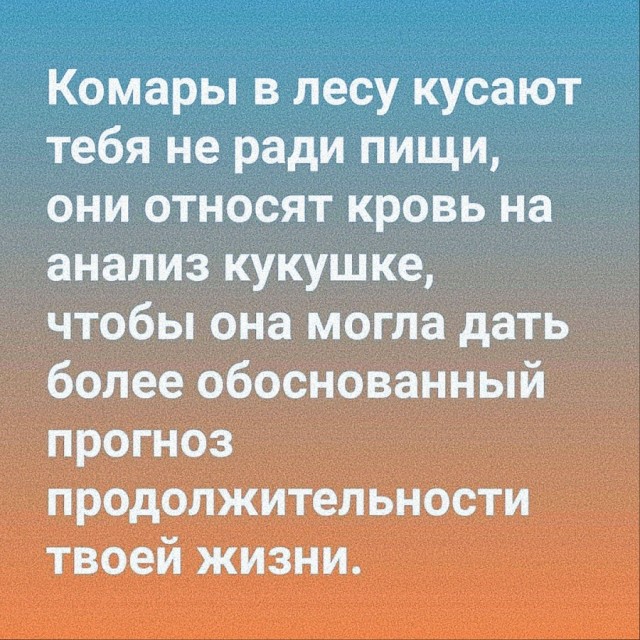 Чуток картинок 31.01.22
