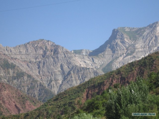Родные края