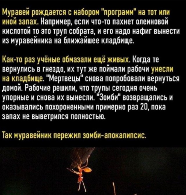 Картинки и мемы для настроения 31.03.2022