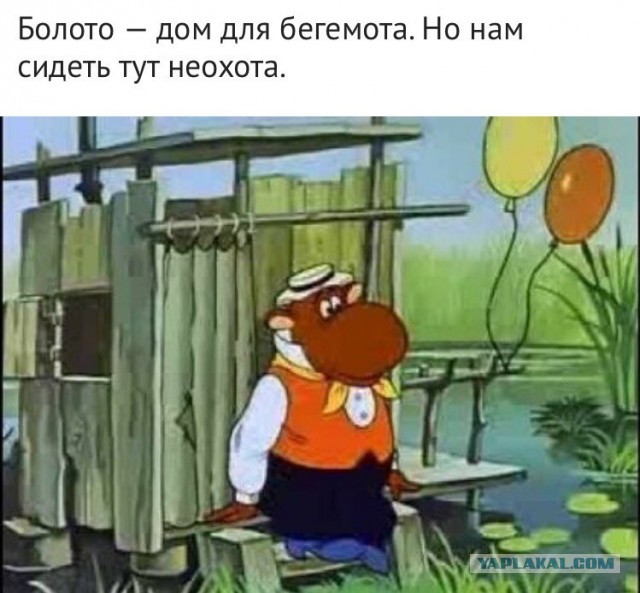 Васюганские болота: крупнейшая топь в мире, которая охватывает 5 областей России