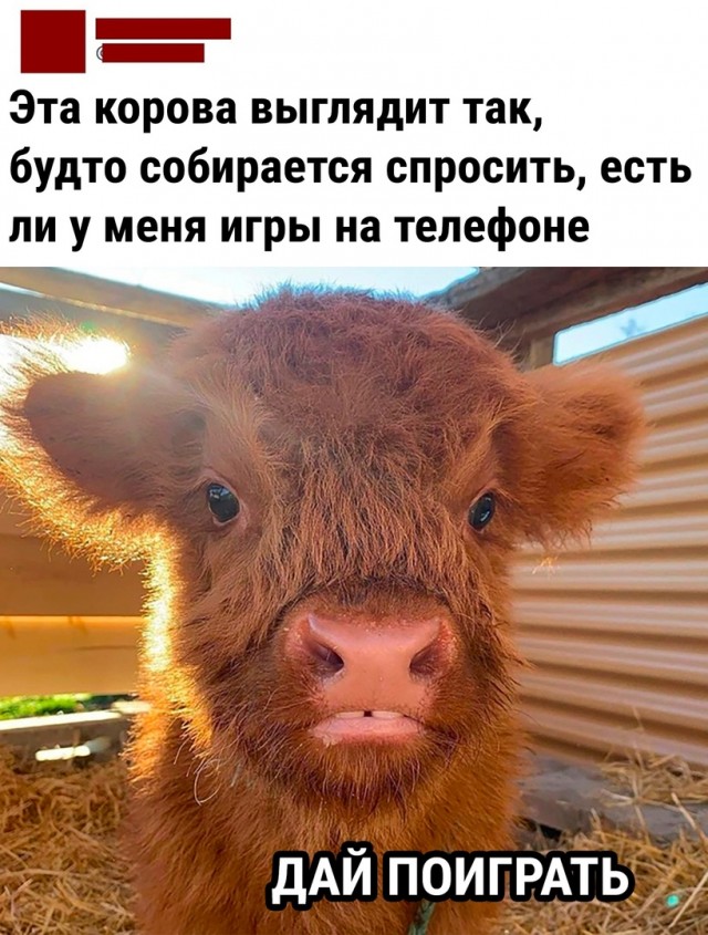 Так себе картинки 26.07.22