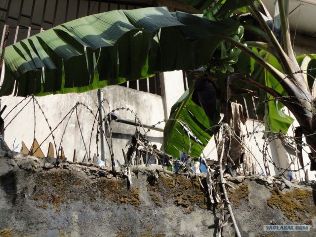 Путешествие в Сьерра-Леоне