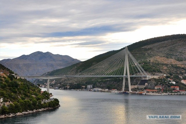 Любовь с первого взгляда