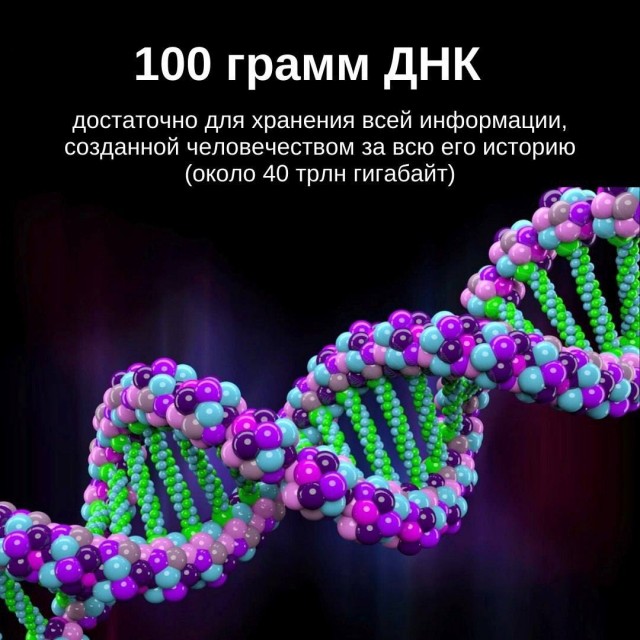 Искусственное оплодотворение яйцеклетки (ЭКО)