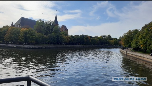 Поделимся красивыми фото с телефона?