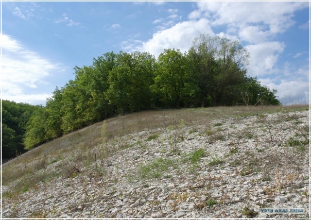 Крым. Новоульяновка. Водохранилище.