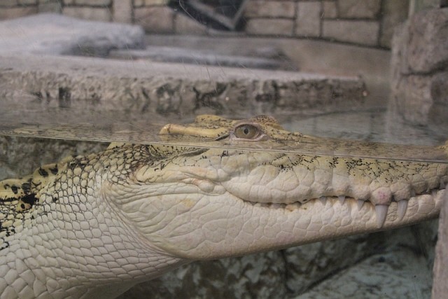 Деревенская Америка