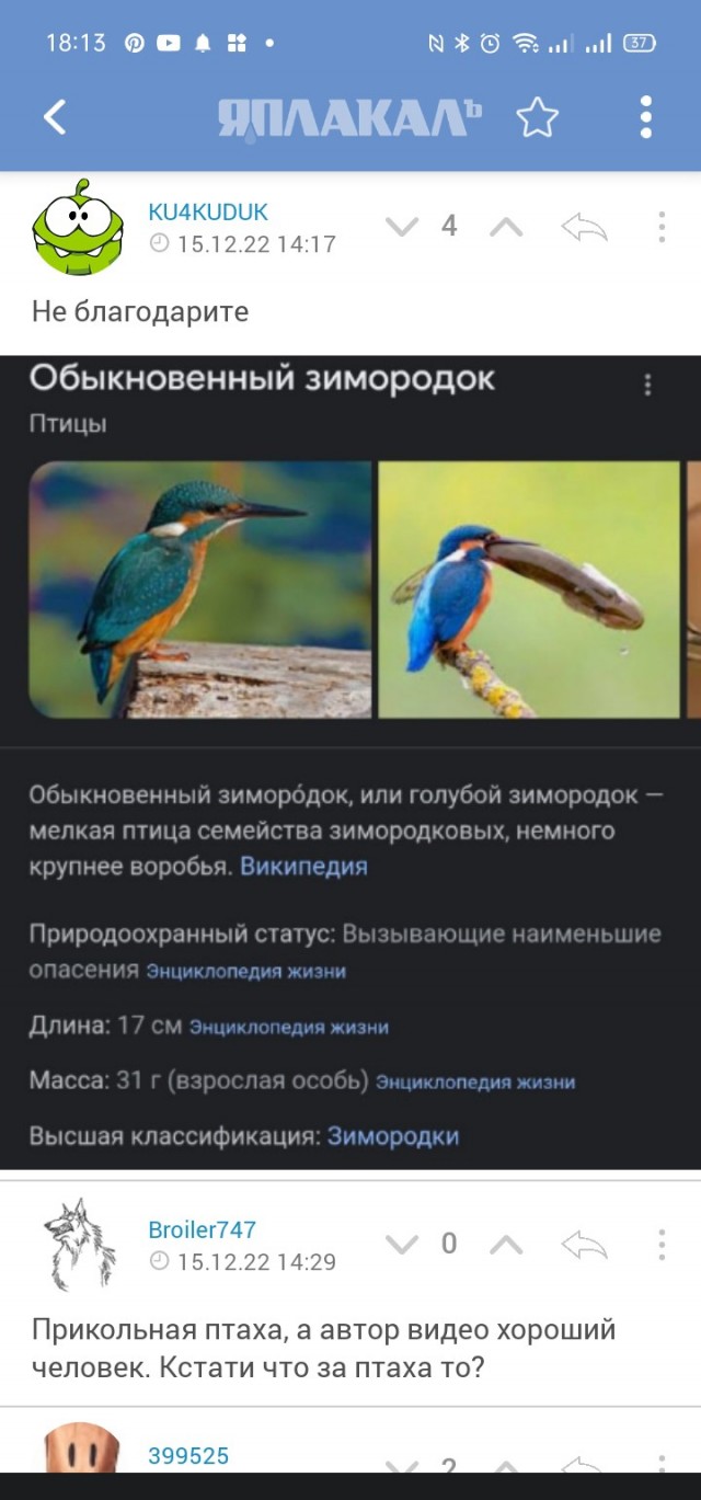 "Лети птичка, лети"