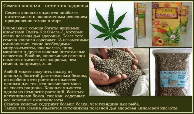 Прикольные и просто красивые картинки 03.02.2023